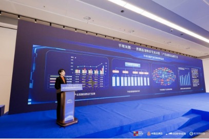 鑫恒盈配资 新华指数 | 黔鹅振翅焕发新动能 平坝灰鹅亮相2025世界品牌莫干山大会
