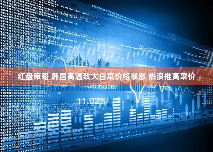 红盘策略 韩国高温致大白菜价格暴涨 热浪推高菜价