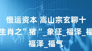 恒运资本 嵩山宗玄聊十二生肖之”猪“_象征_福泽_福气