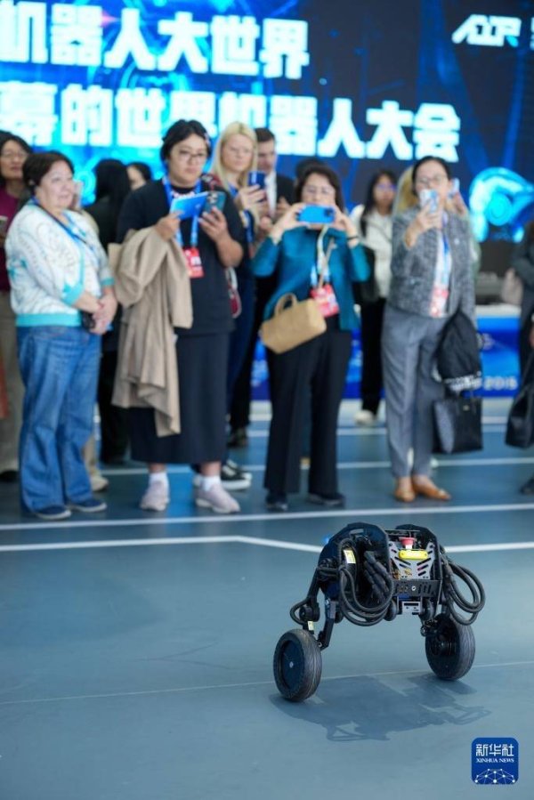 天戈资本 全球妇女峰会丨走进机器人大世界